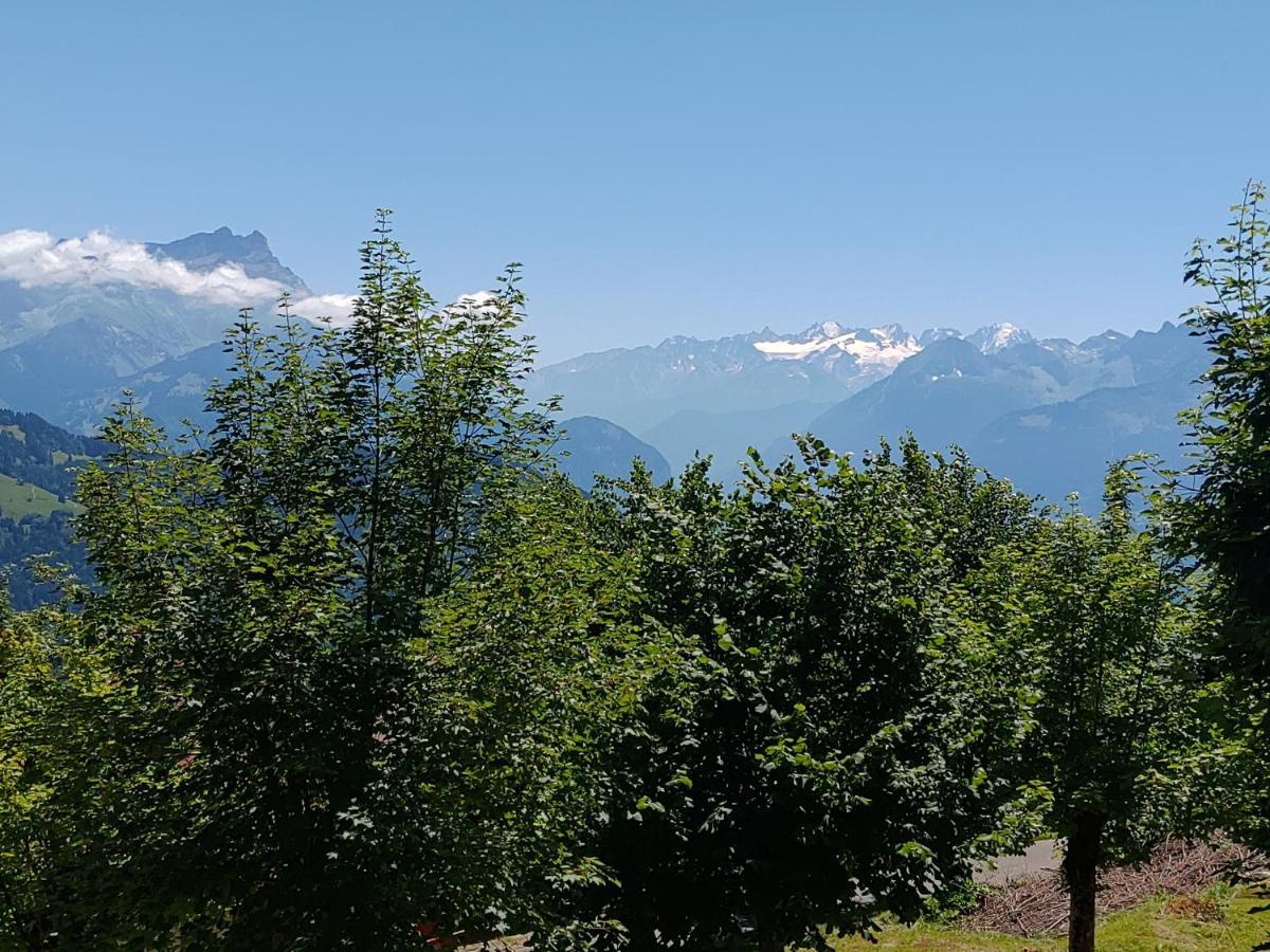 Studio Au Calme, Vue Imprenable Sur La Vallee Leysin Exterior photo