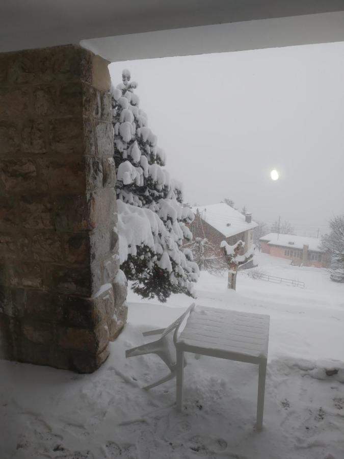 Studio Au Calme, Vue Imprenable Sur La Vallee Leysin Exterior photo