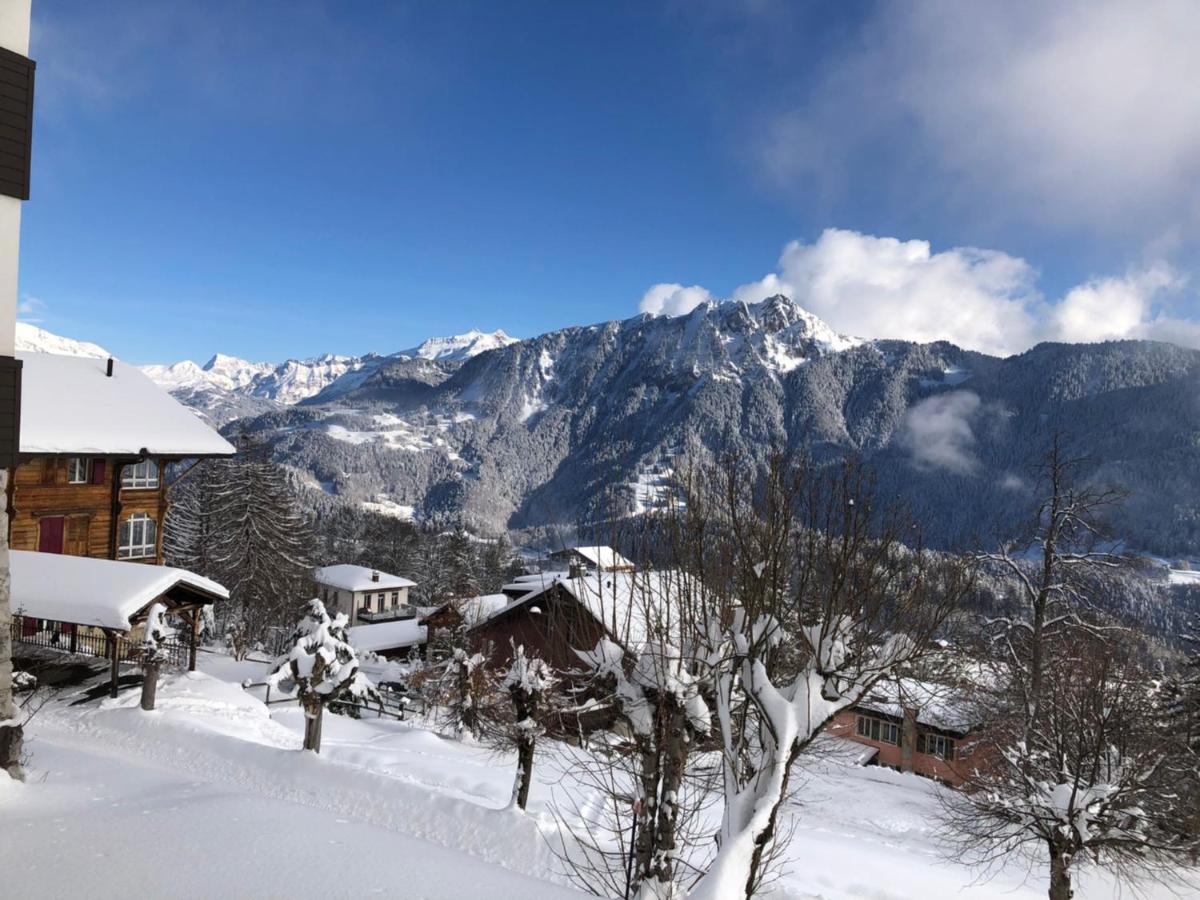 Studio Au Calme, Vue Imprenable Sur La Vallee Leysin Exterior photo